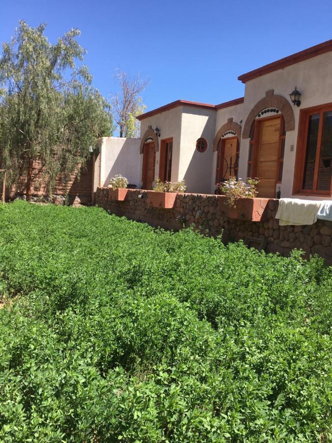 Hostal Puritama San Pedro De Atacama Extérieur photo